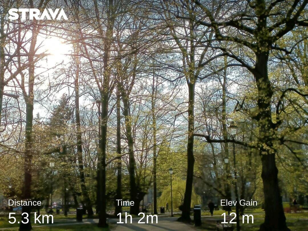 4ebaad61-1ed8-4f98-b1ca-caf591de35f5