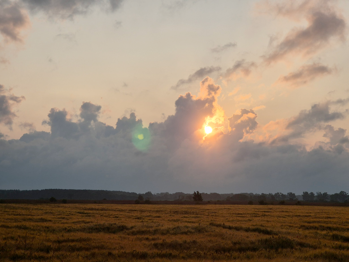 e66c0b1d-fdbf-448e-a391-003a69bc1d0a