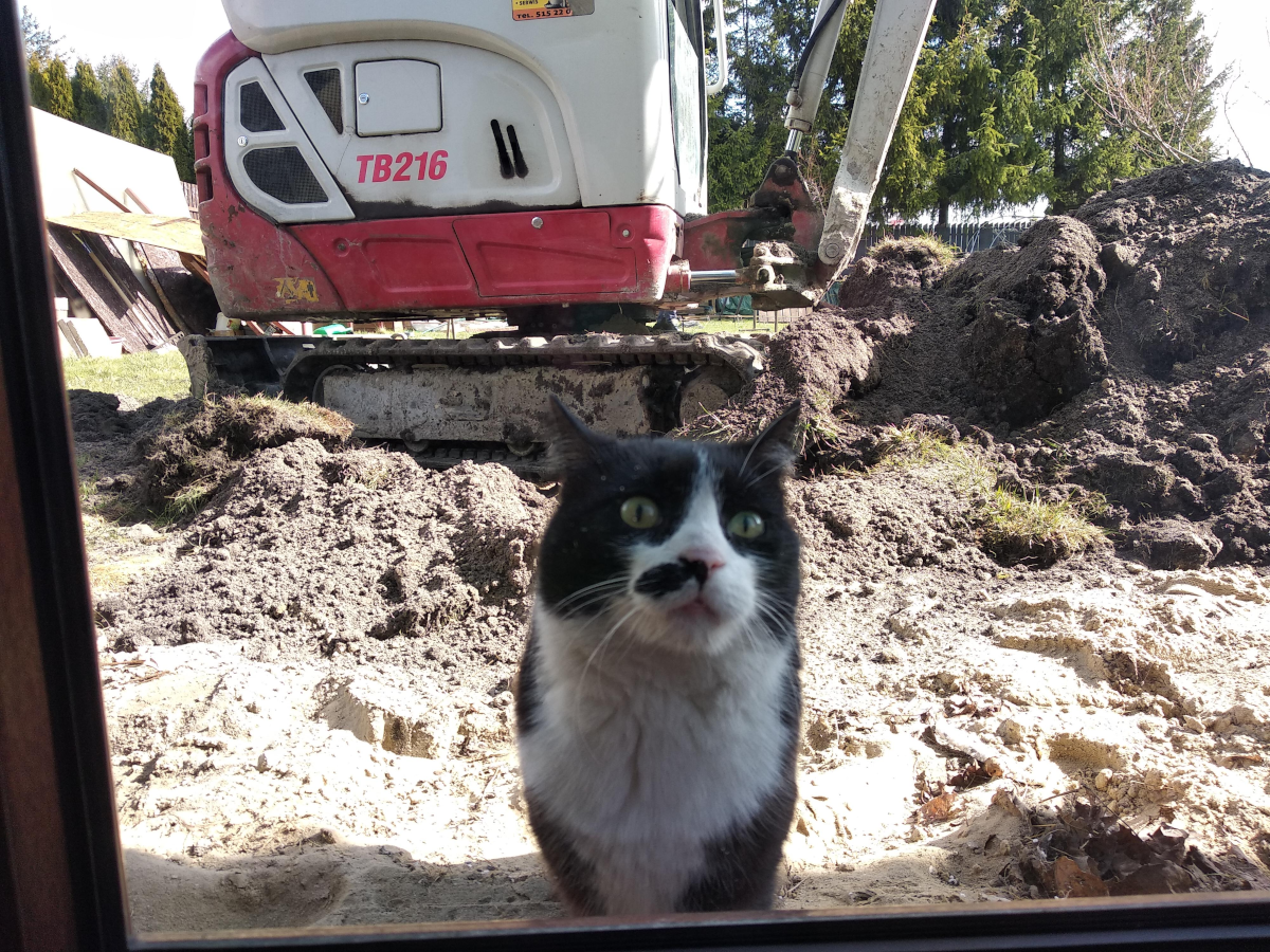 7c665205-e02a-4dce-980a-573d2298c00e