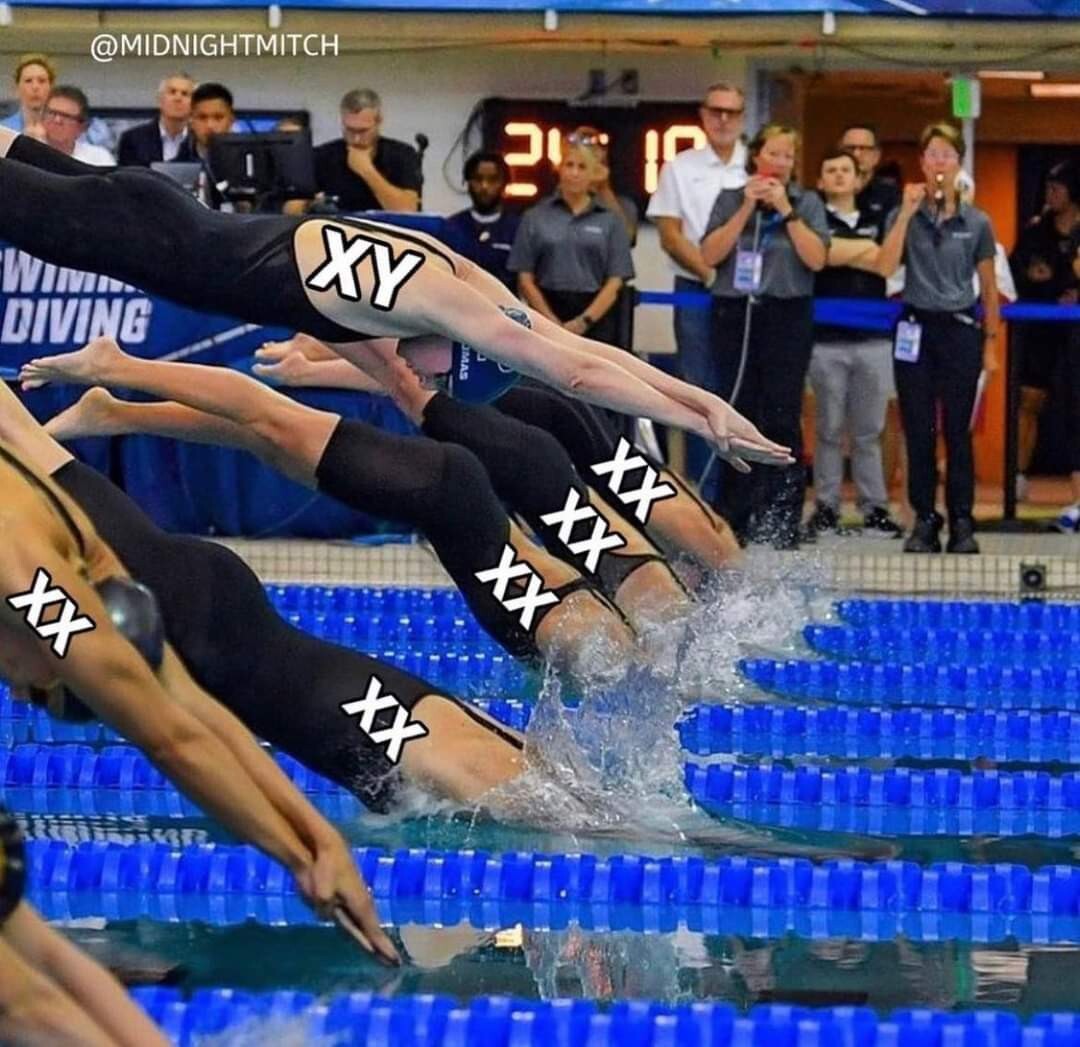 979e6238-eb80-4fa8-a658-acf48339d9f5