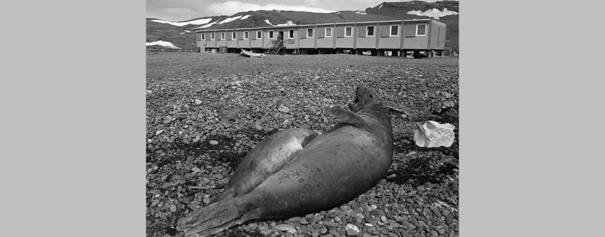 Polska Stacja Antarktyczna obchodzi 48. urodziny