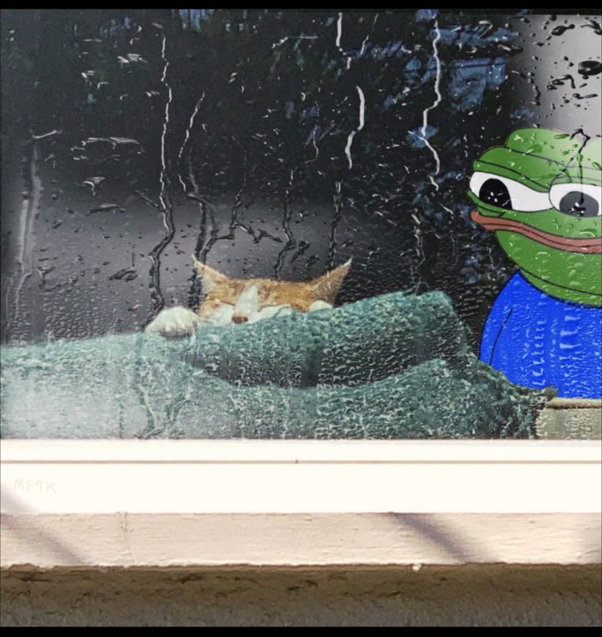 e210cba0-89dc-47d0-9e60-fa63d8ef4945