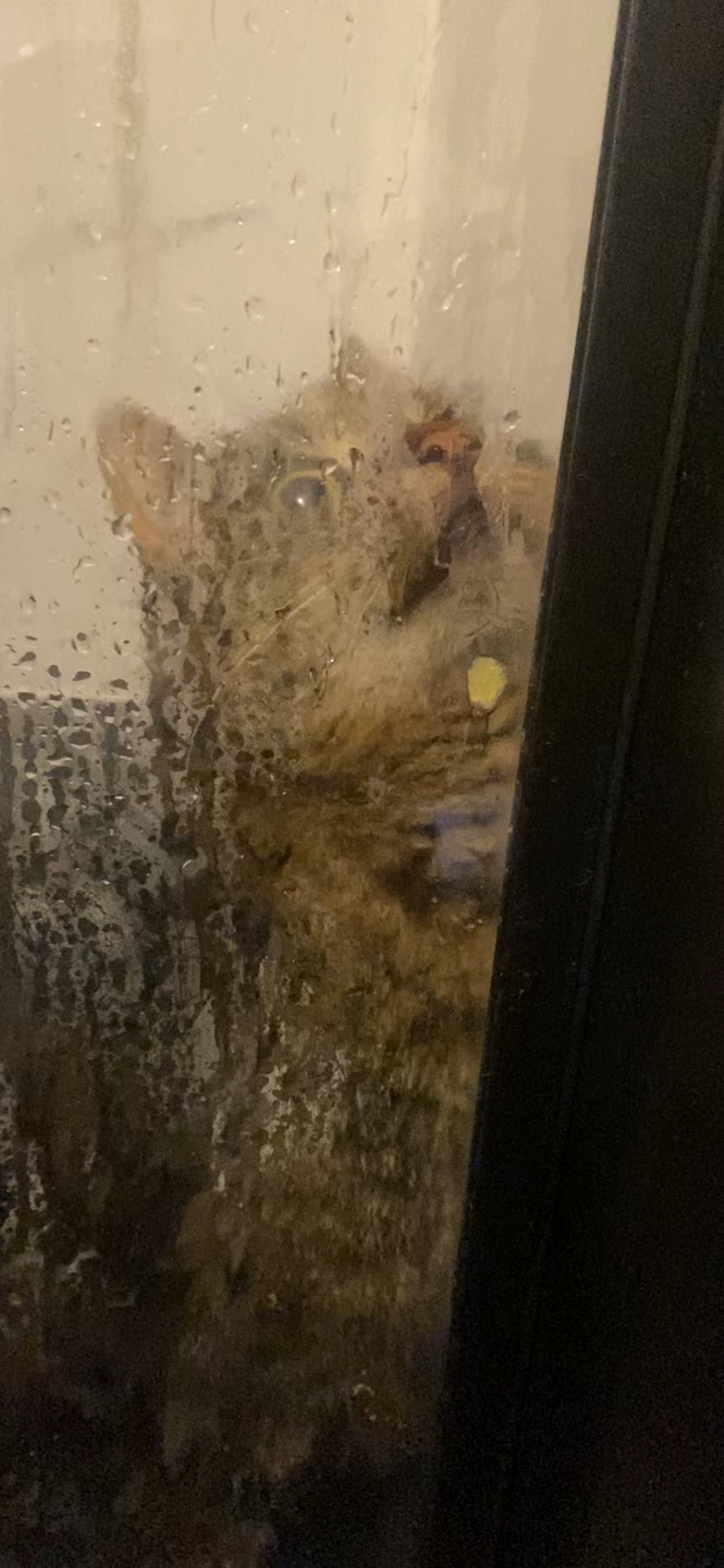 65bafc39-3e21-4364-9021-250d5c6dc58a