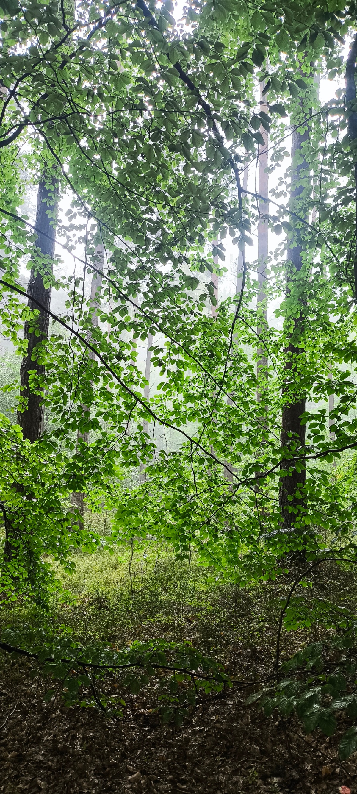 ecad4127-5ae8-4b6b-92e6-faf9e4d06a58