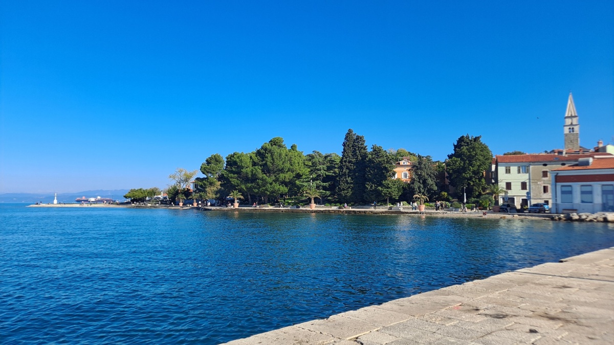 979094c8-e48f-479e-b06d-07386b72c489