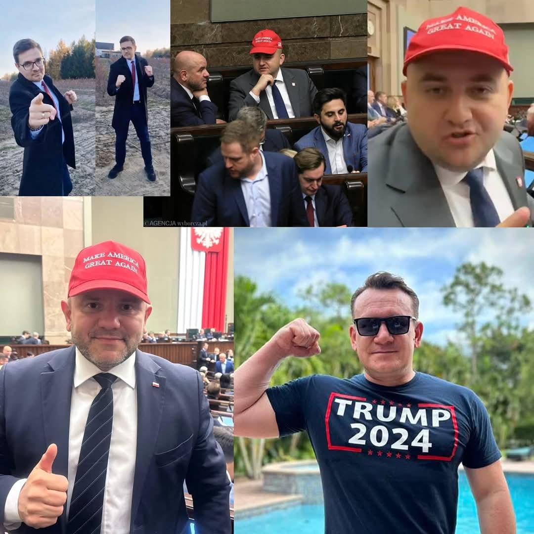 aab52e15-dcf6-46ac-a3ce-459713819903