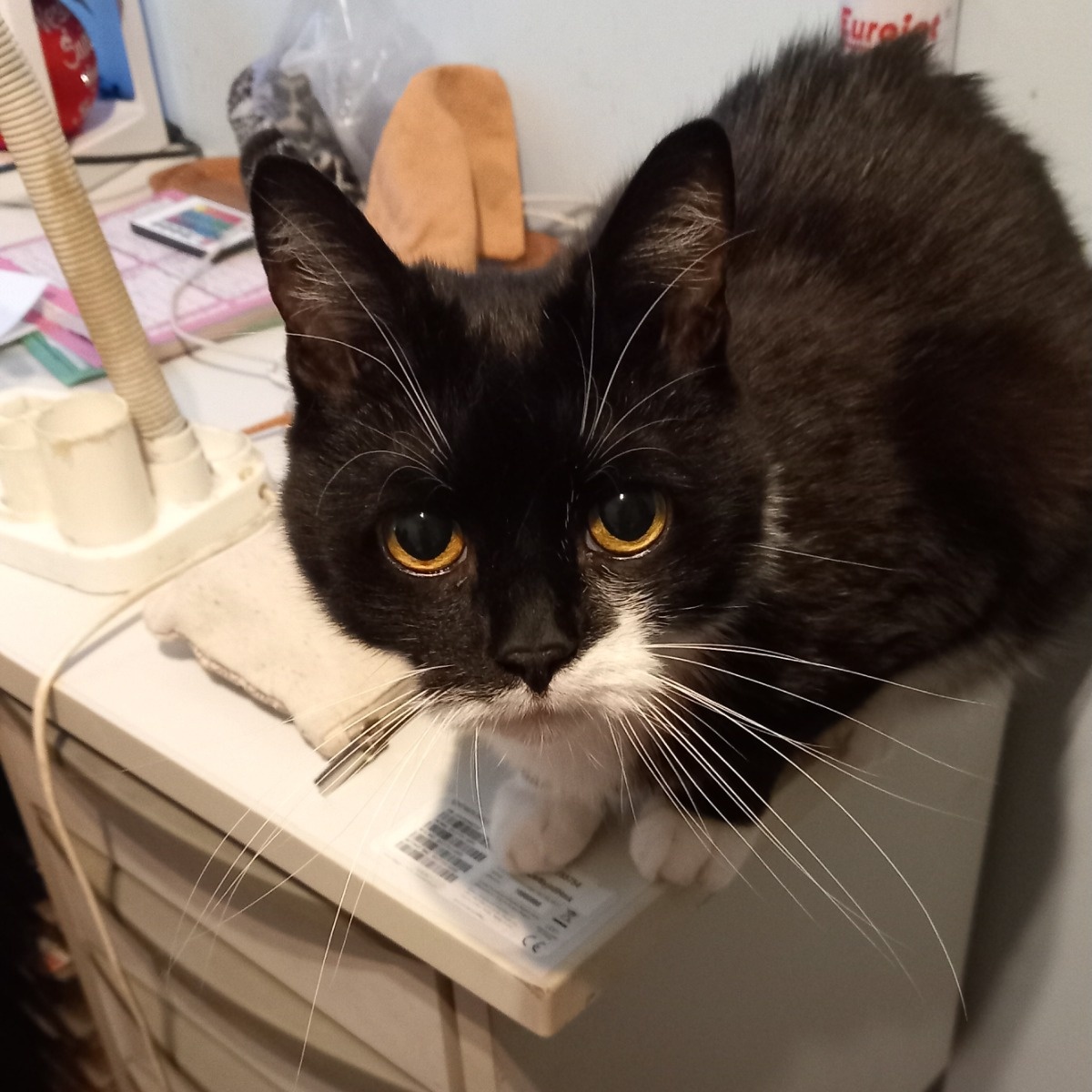 abd090df-3790-445a-aa23-ea71c99313fc