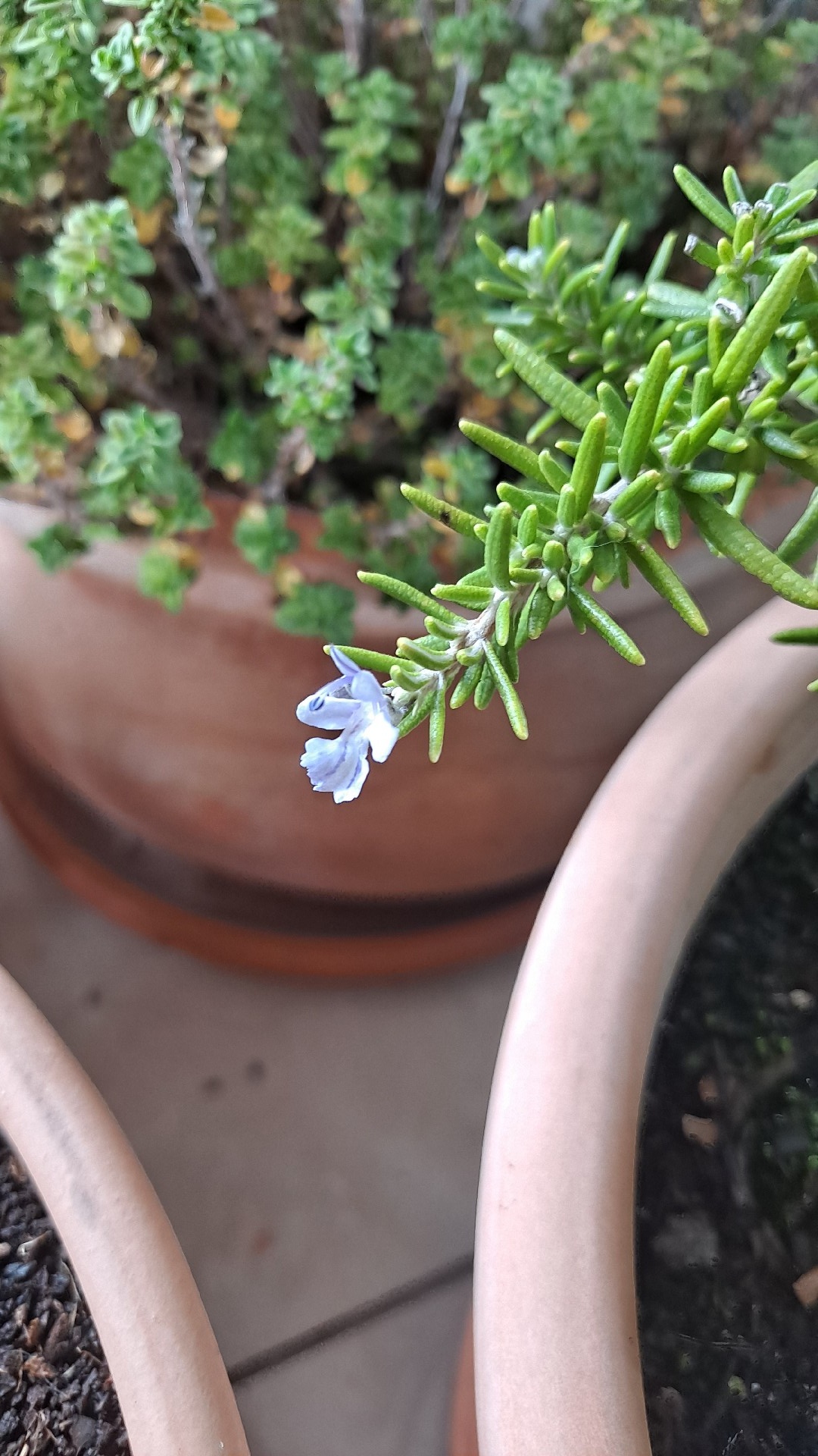 cf051991-6896-4a0d-8f83-75b0134e773d