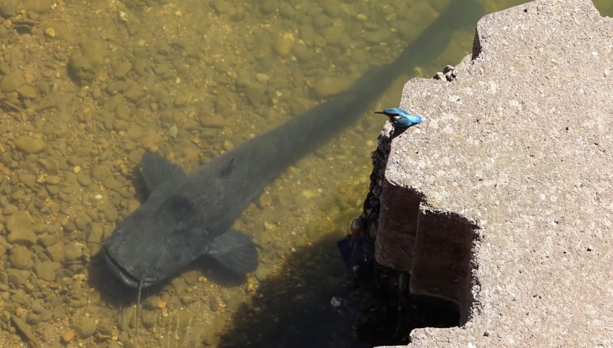 de34a6b6-76a2-4cab-a821-4784a06f299a