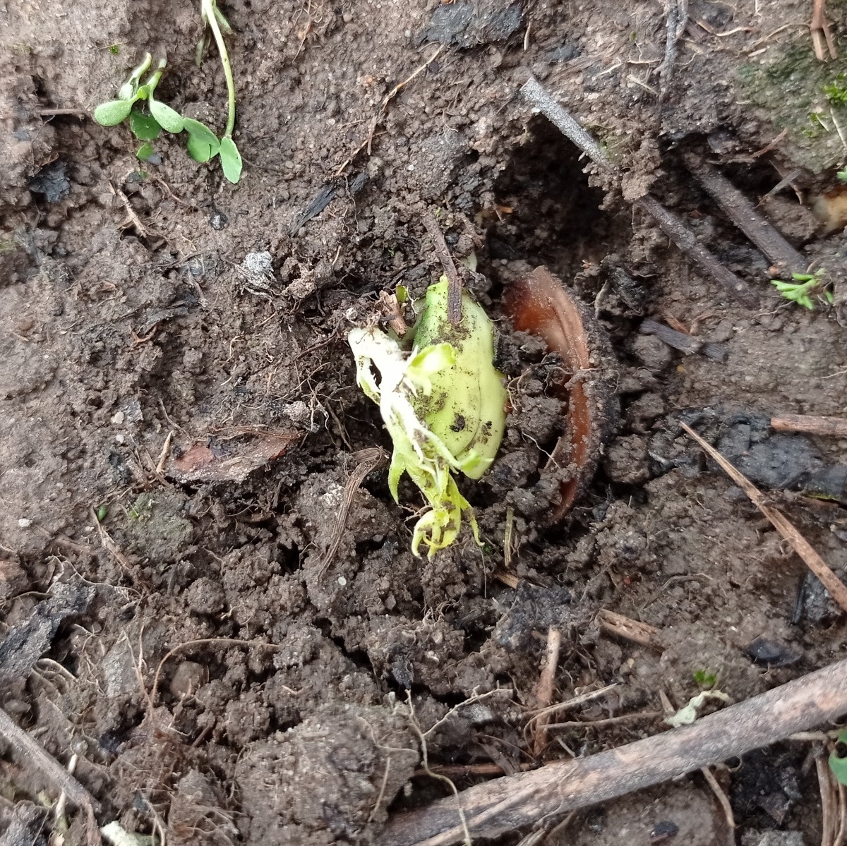 9c76a194-b5b1-451f-a4b6-89987e74ea4e