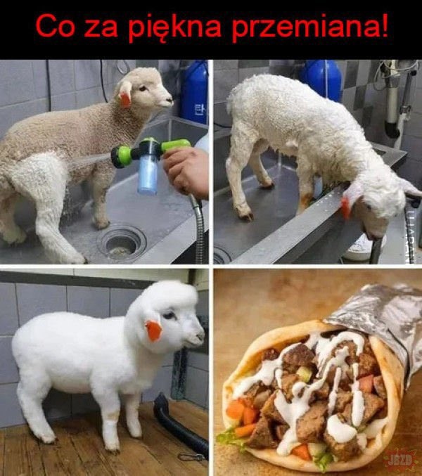 56e5e48c-5a21-4069-aa17-18407c08c9e5