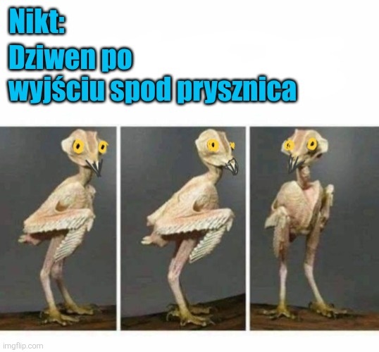 ad5c65d7-a8fb-40db-9b8c-5a5ed6e2b301