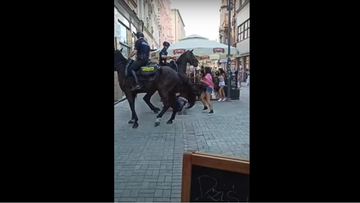 Katowice. Interwencja policji konnej. Mężczyzna uciekł, od soboty trwają jego poszukiwania