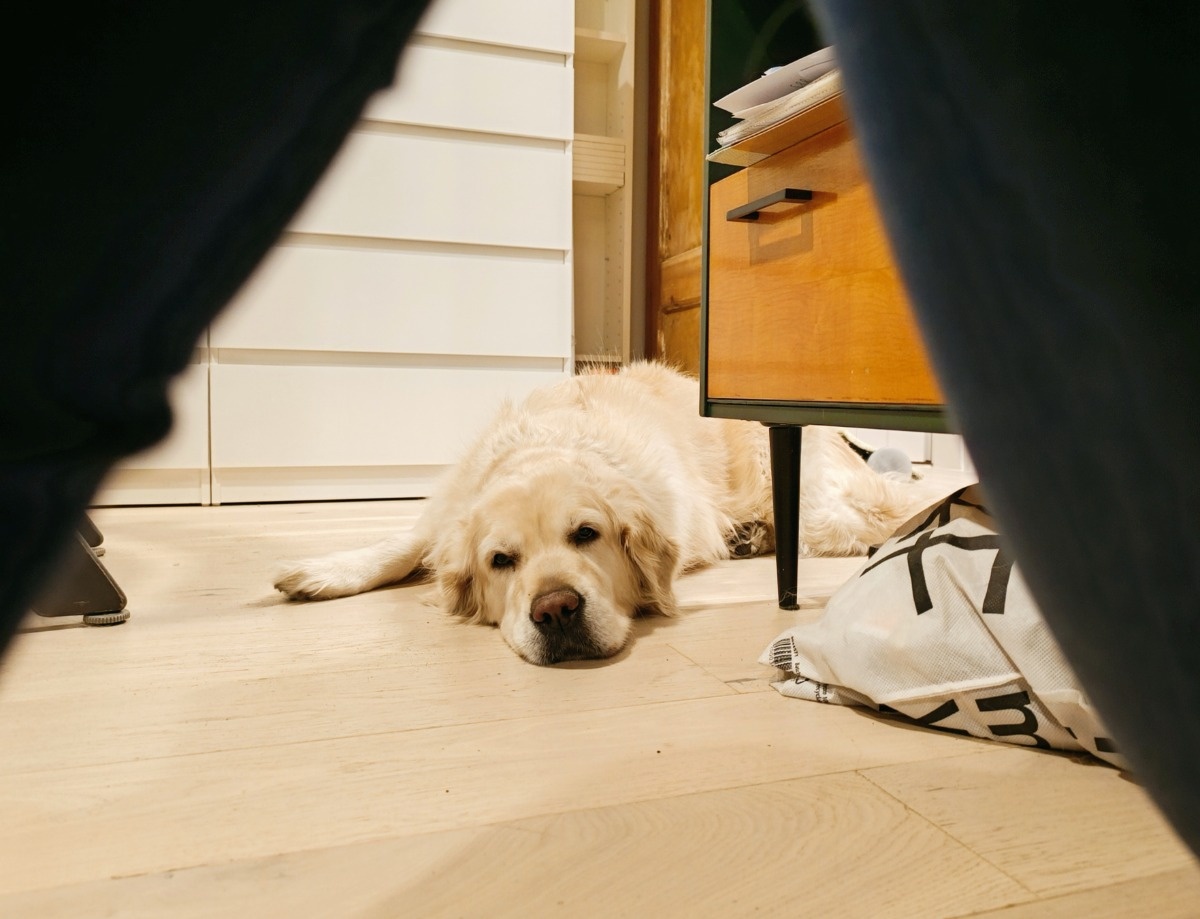 5f4259e7-20a7-4429-8695-614fd94c8a36