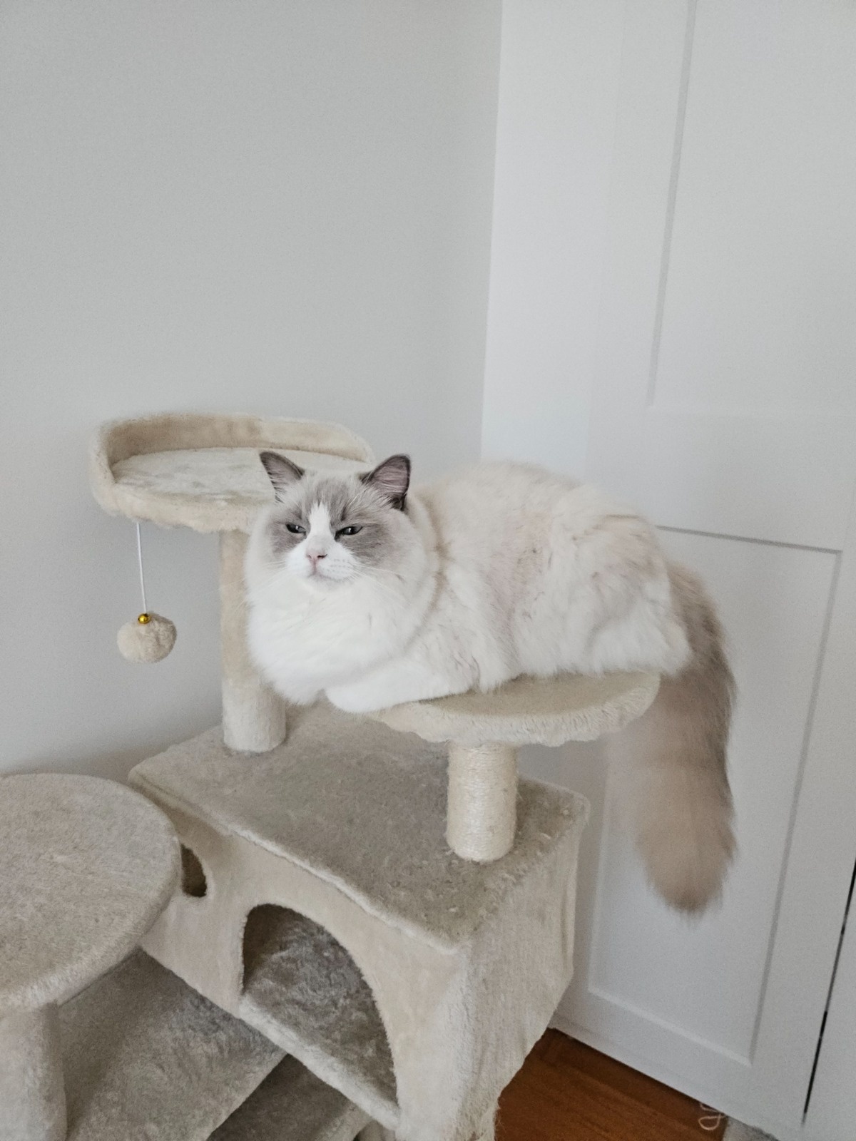 3f40755b-a5fc-456e-8c88-a322f59d1d44