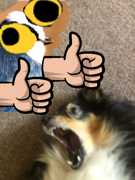 1195894e-5644-4f2d-866a-6d7bf0c174f0