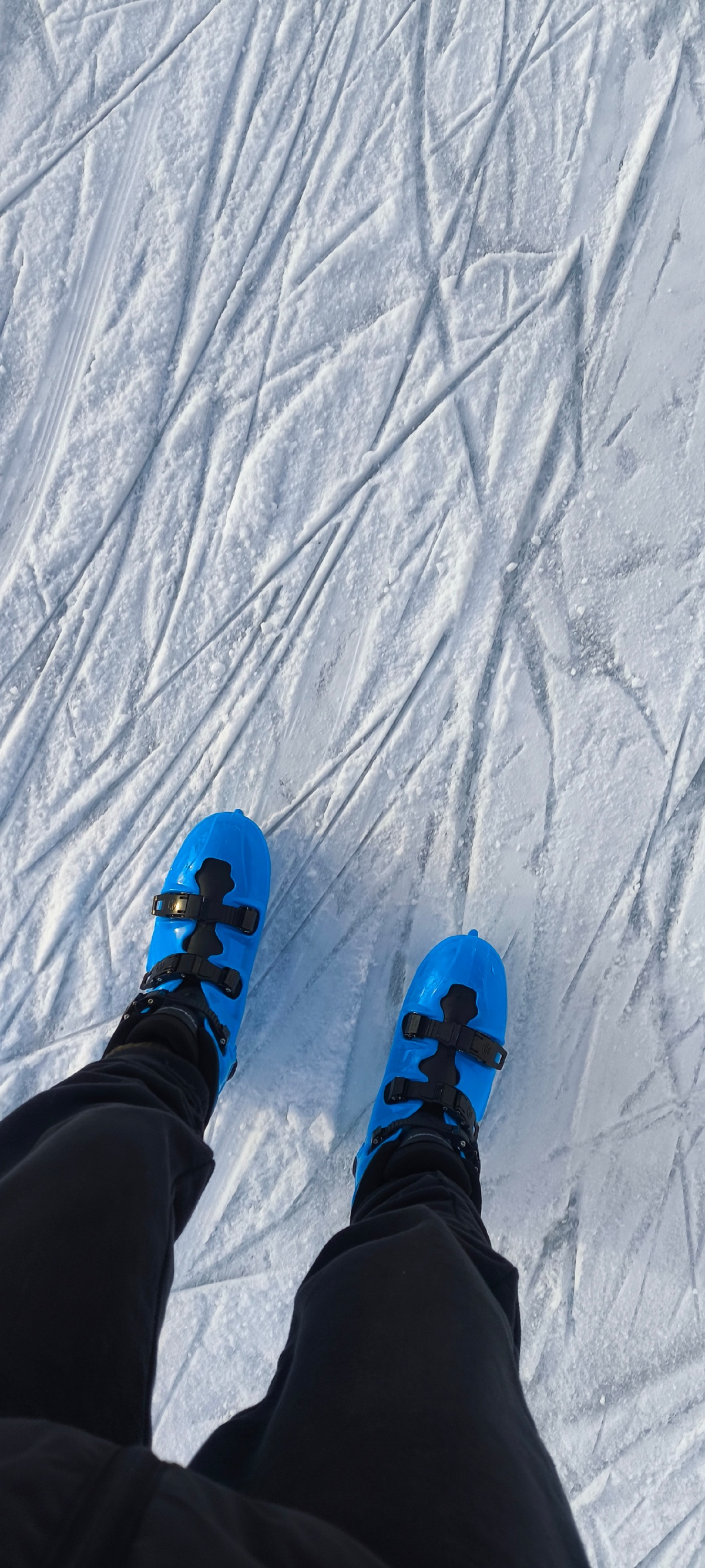 ebdbaa03-b712-47dc-bf73-0c73261f594e