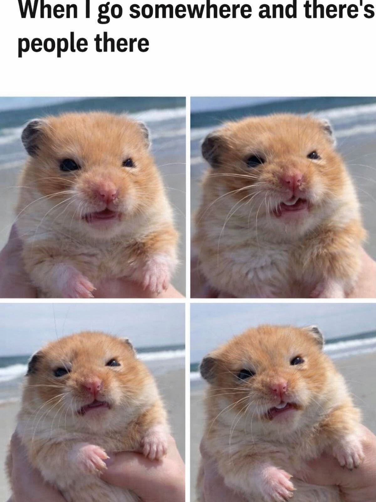 f626e6a1-850b-4601-a83e-24f93aee2a98