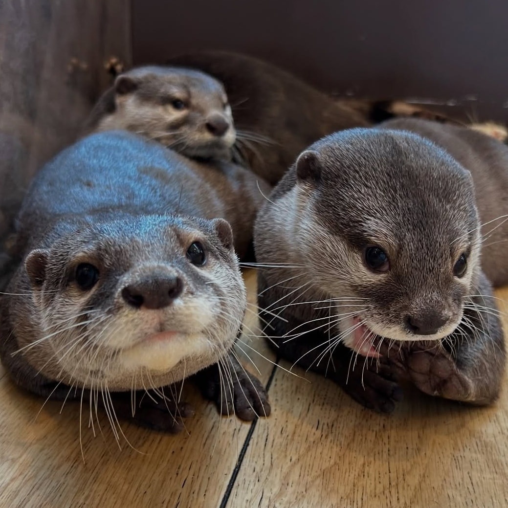 26f52c2e-1718-48b8-9eca-13f3dce31ada