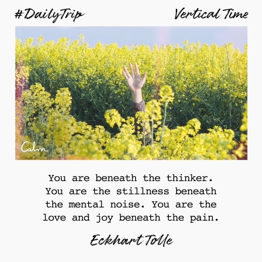 fbb1290b-4dc6-4863-a006-1e27ba92aba0