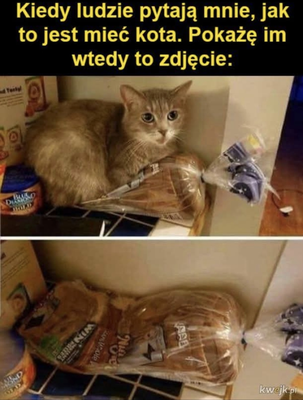 f67e33ab-d4c1-4a2f-af48-3add99c878c9