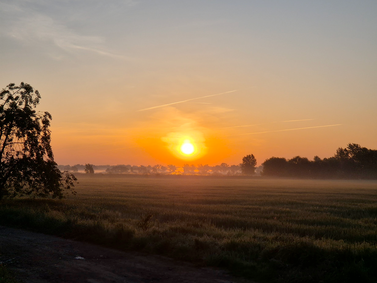 b3ba5527-384b-4584-88eb-511a40d481a1