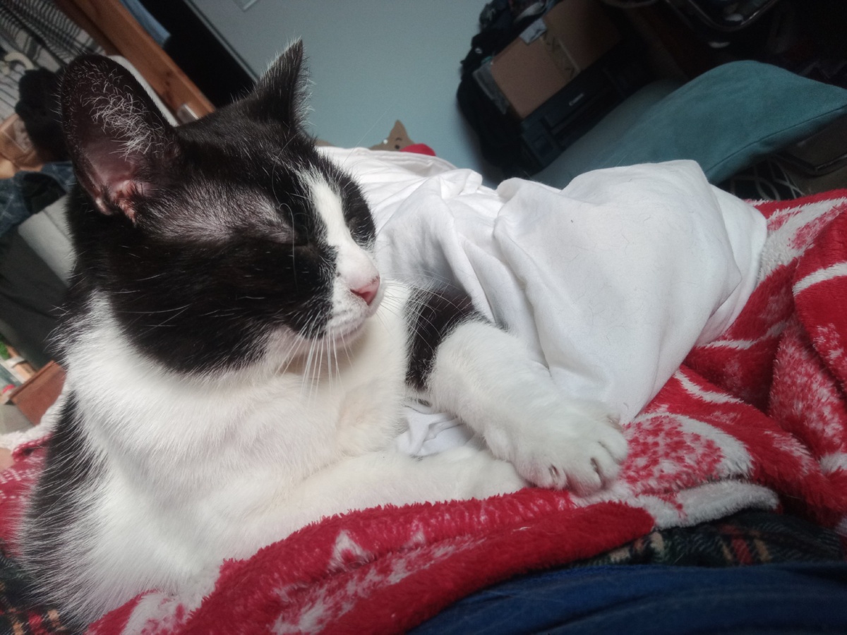 9a4f83c8-679d-4daa-9c8c-6ee10671f941