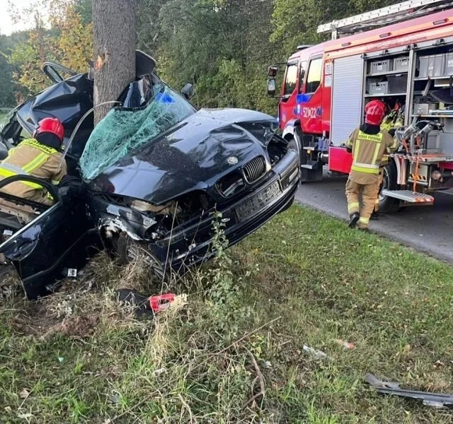 7002a4db-76dd-444a-ae45-217ebaba91c0