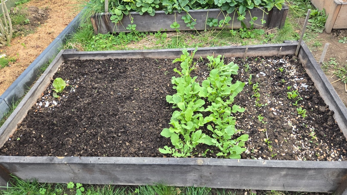 5bf7d6fd-962f-413f-8ae7-a70a93309303