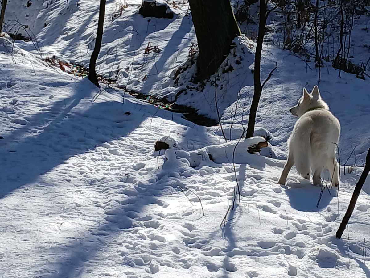 babea5e7-6e04-43de-b4da-87532f3ee822