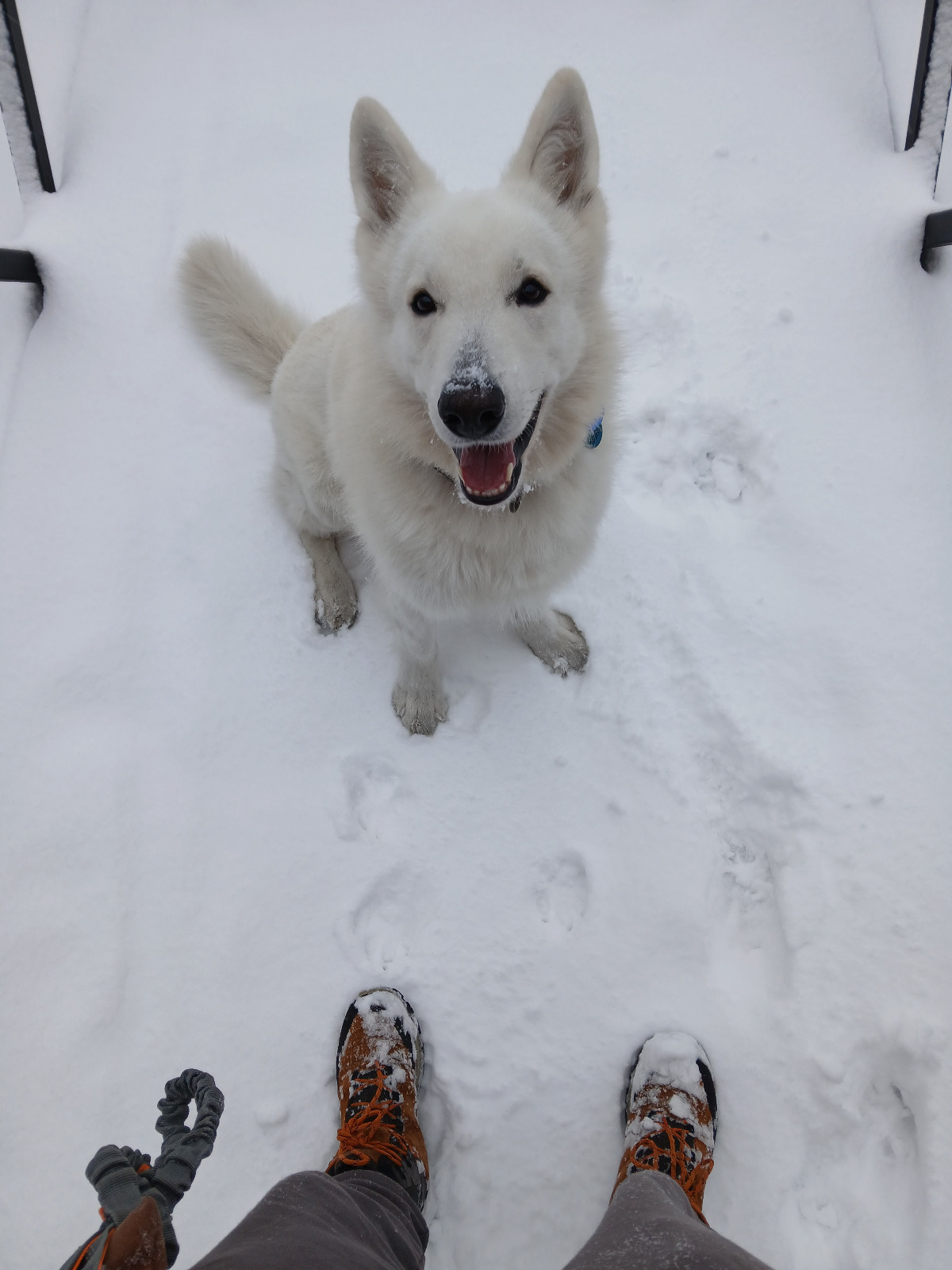 56d329ee-1f7b-4de1-b7c9-788778d8b38e