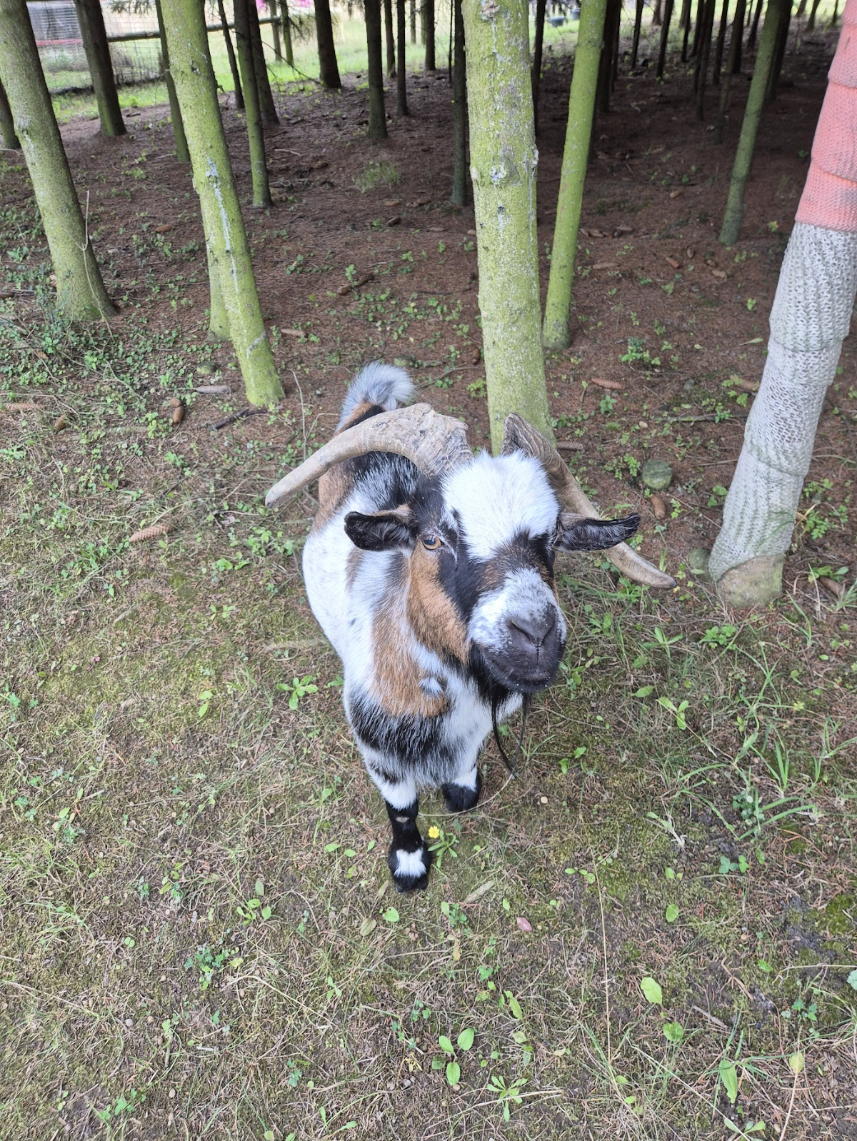 1d65abb1-ba7d-4d08-9916-b0558800dc55