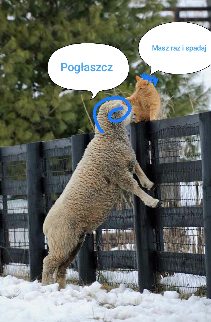 694bc56c-6b9d-485f-93ac-d9bccd185eae