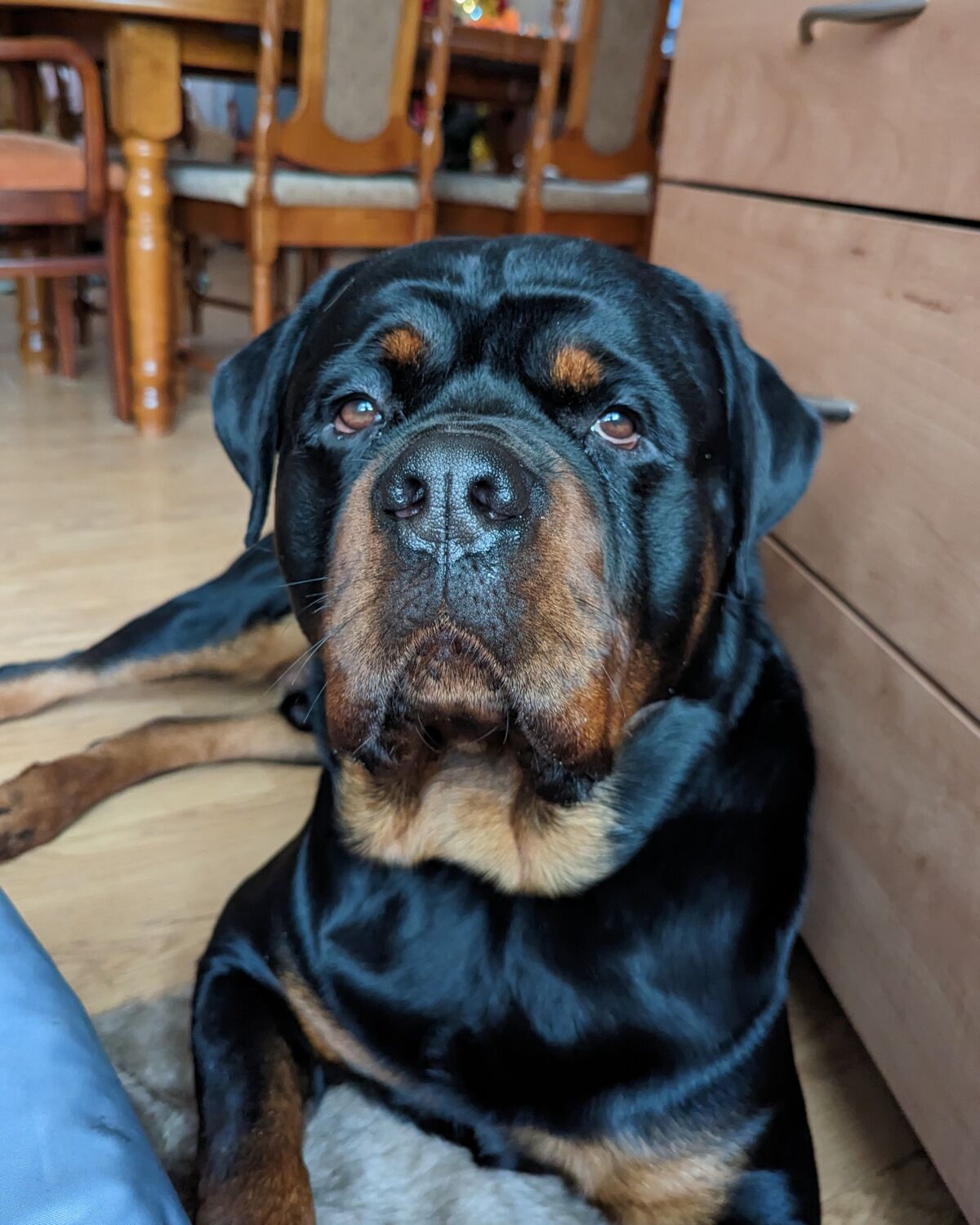 b0b5af2d-ddf9-4519-b479-4b812efa77bc