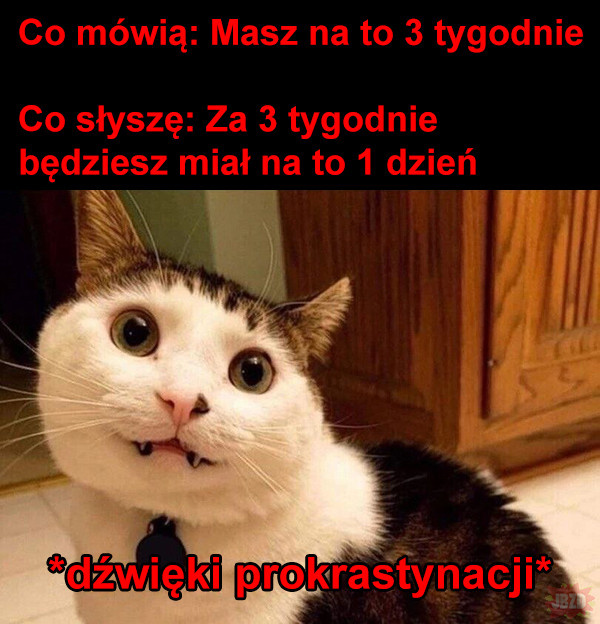 9f197379-d649-4bee-b929-a5005f3e1023