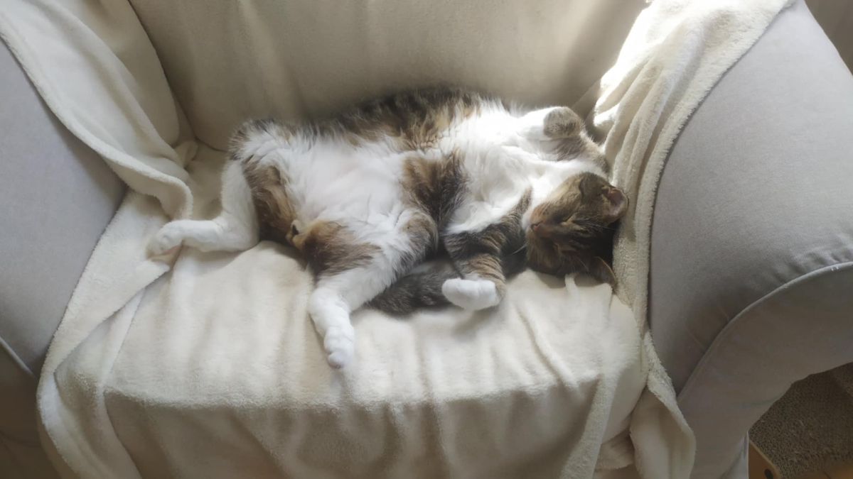 32921a82-c17e-45ad-8609-2ae2586f74e8