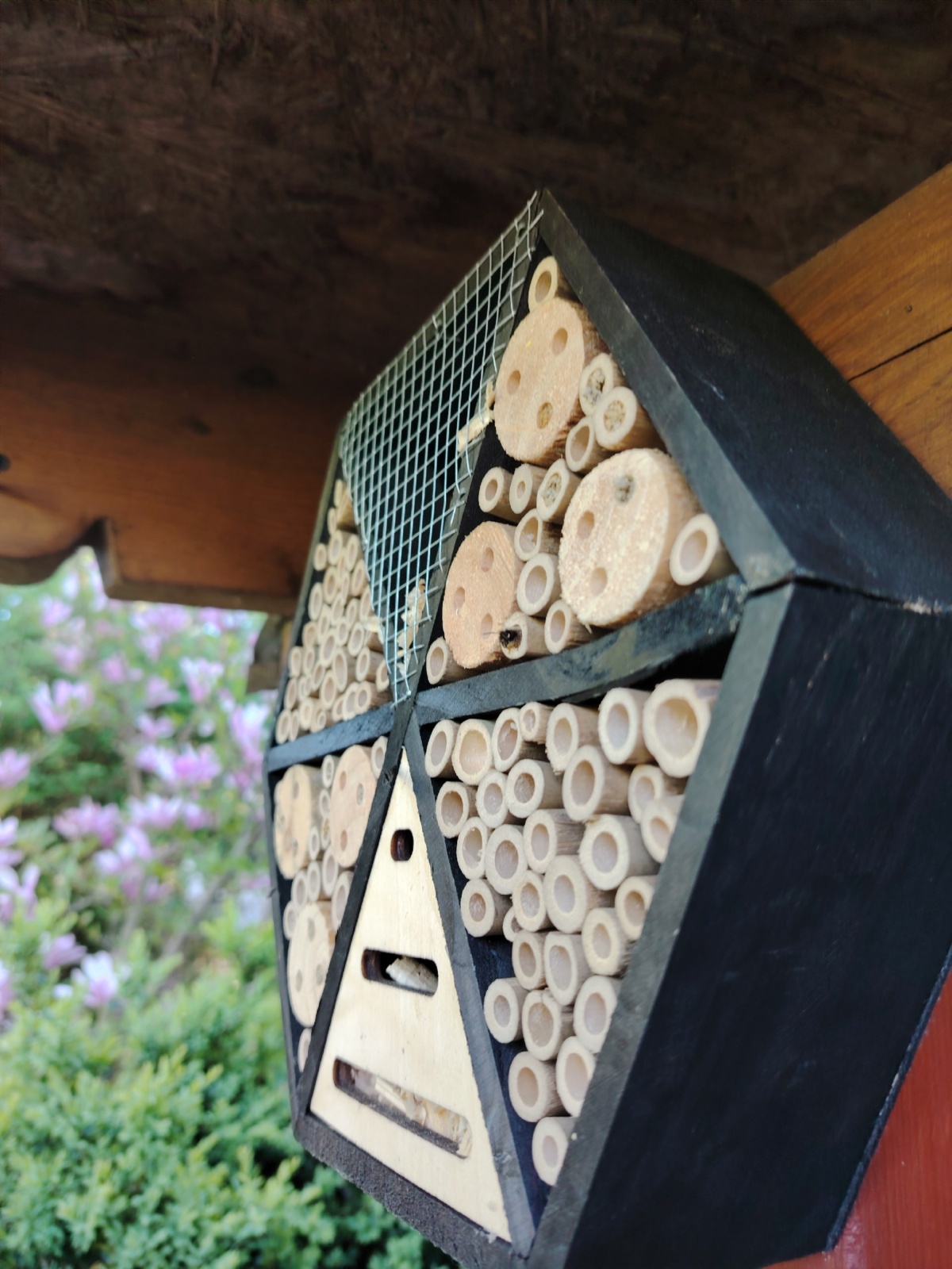 a51f9558-e7fd-484c-b6ec-f9b890d881b9