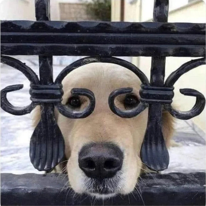 66ac8637-1b0b-4da3-a091-e7ff08f178e3