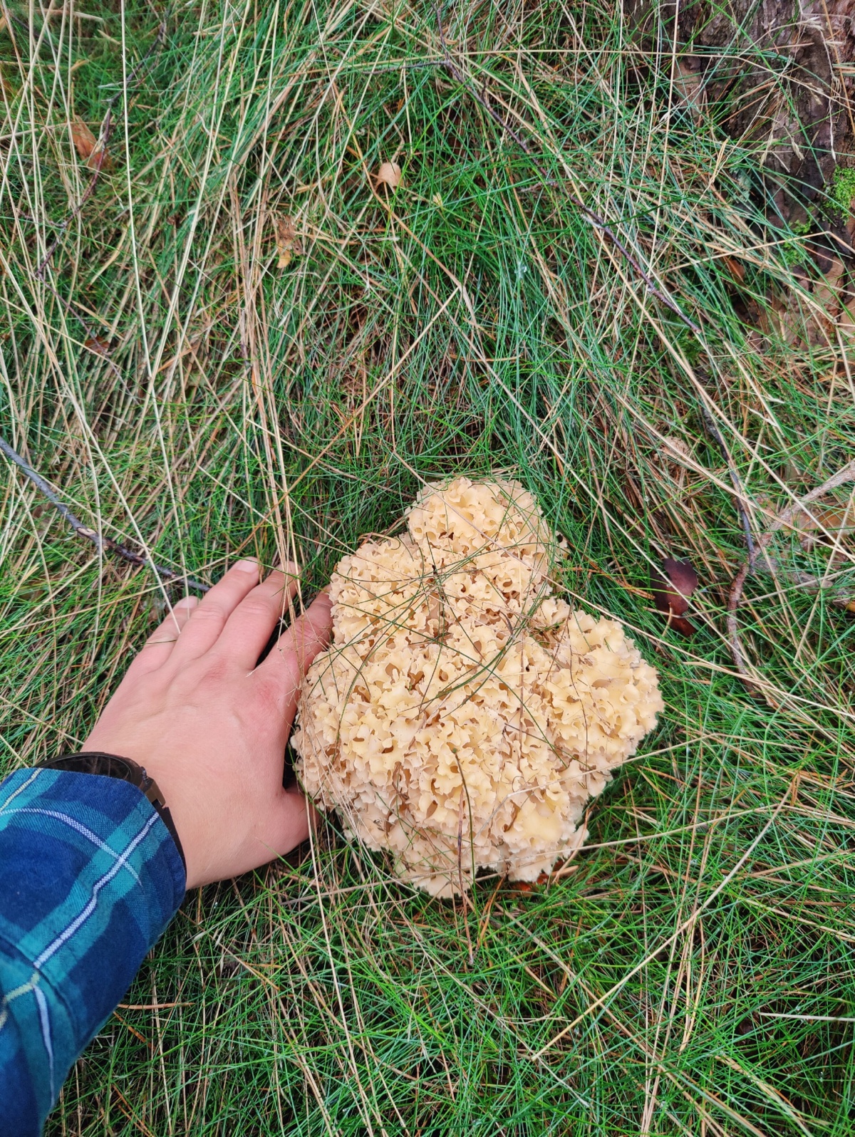 552428c0-0baf-4f87-8e14-75842c05c267