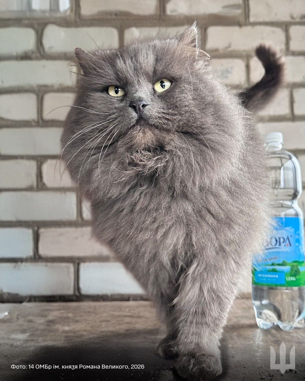 4545e29f-4669-40ab-bba5-58c45f00f86c