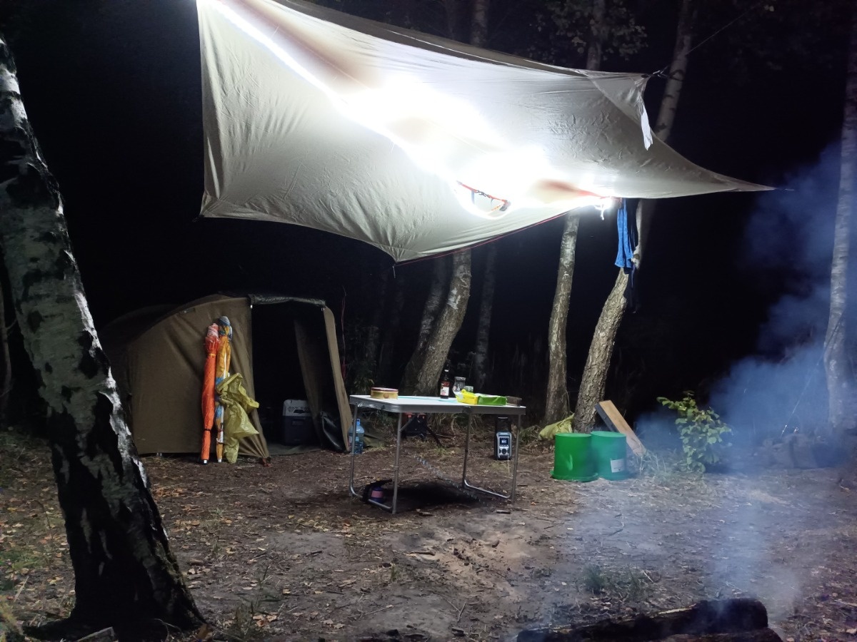 7cd998c9-fe2d-4310-9585-608c12ce6e56