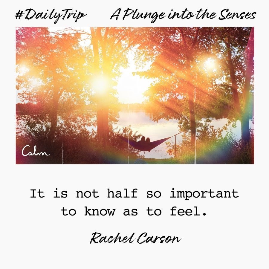 246d571c-6a0d-4fb3-b0e6-b78f4ed0f1fb