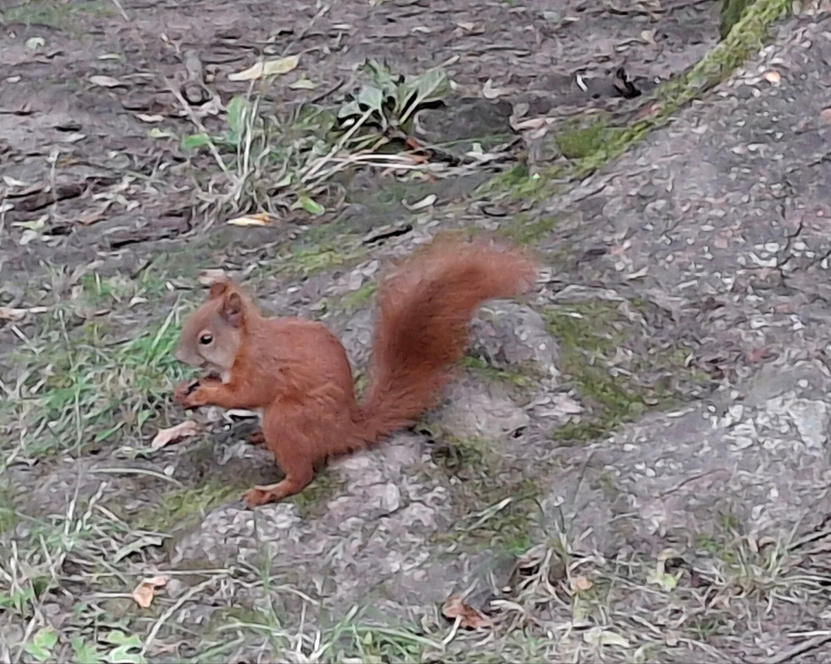 432e67f9-0997-40d3-9487-c377a7674e3d