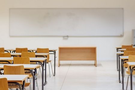 Narodowa ślina na polski język
