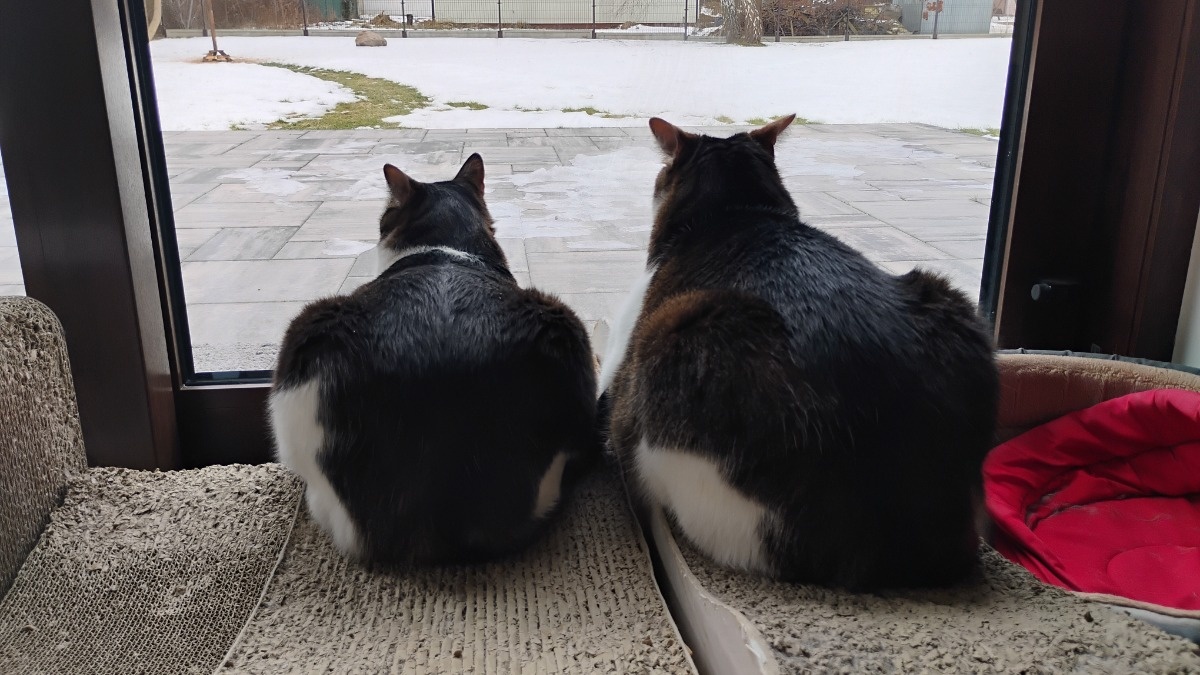 2d696963-3209-4a78-9209-9c82e912d26d