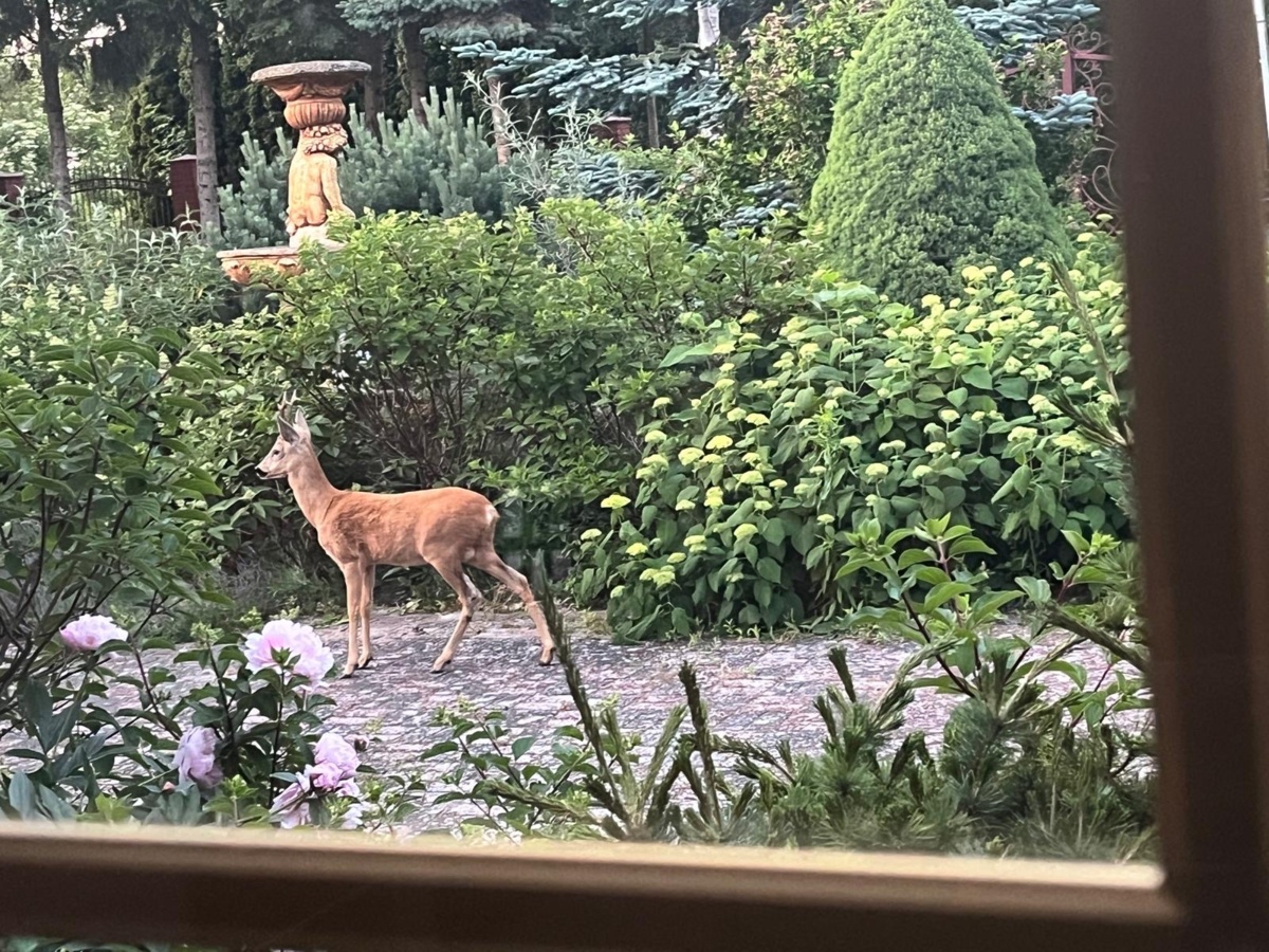 996e34b4-707d-47f1-a2ea-d0a9e4e45412