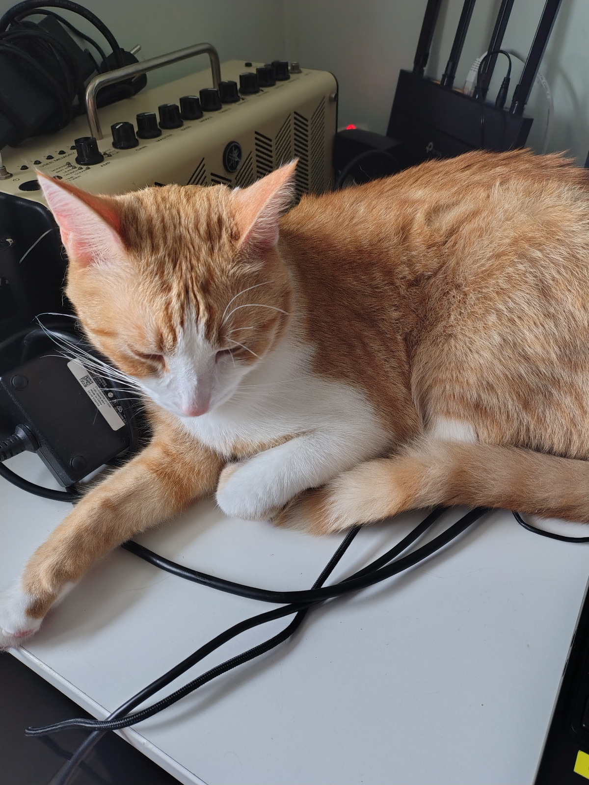 c29f5485-43ae-4e6f-93db-4280bc2c61f1