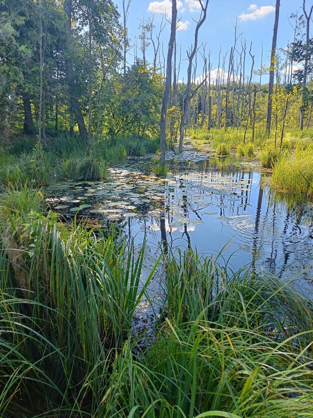 5b044b33-7cc8-4915-9518-091b0ca3716d