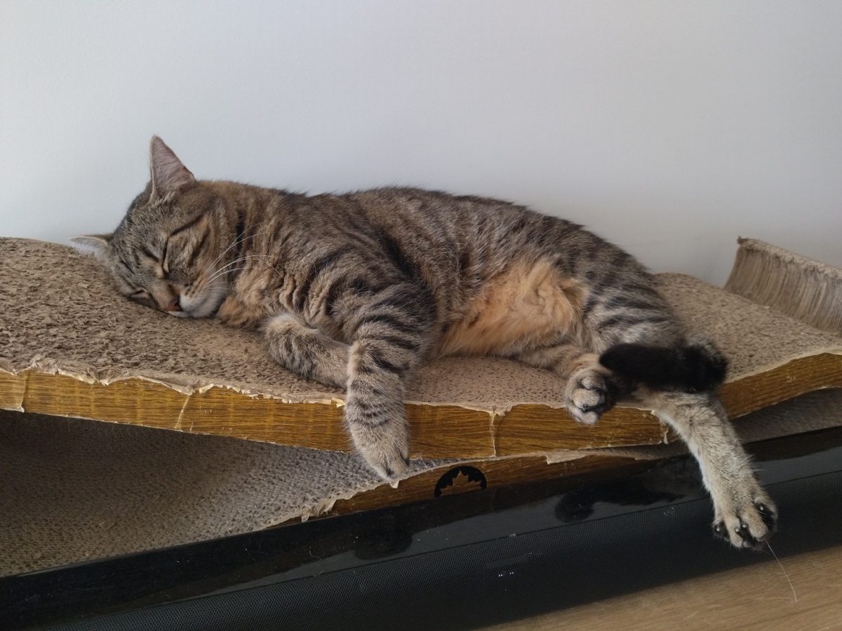 d08ae938-104b-4458-989a-b2429a02c184