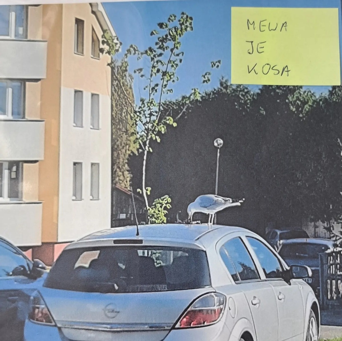 58de71a4-dc6c-4626-a070-16108a9c2938